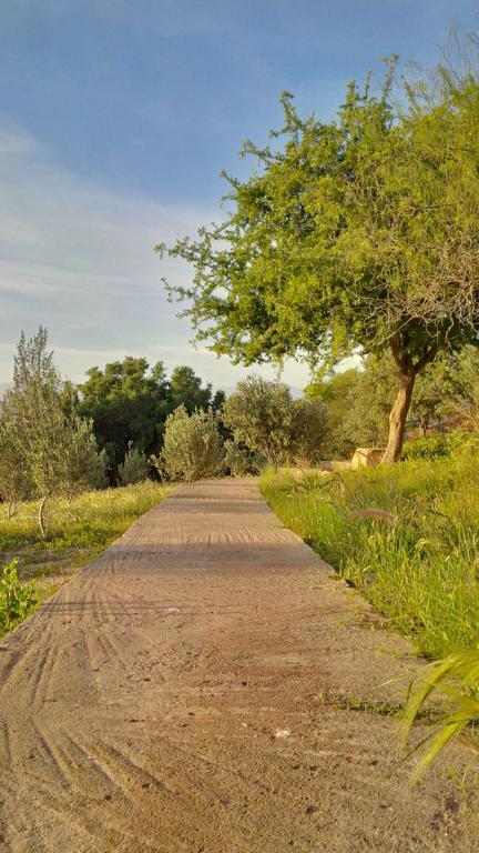 Villa Du Souss Agadir Bagian luar foto